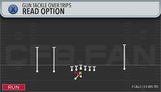 READ OPTION