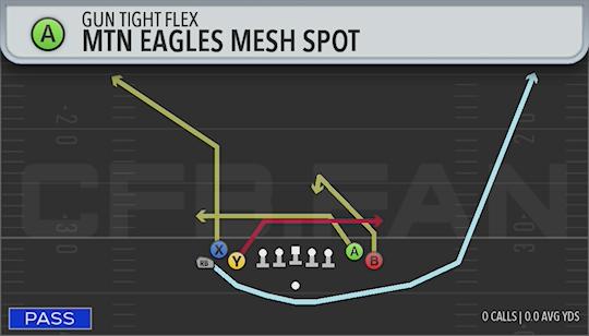 MTN EAGLES MESH SPOT