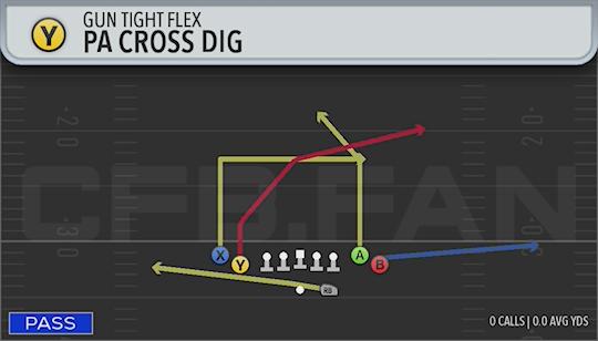 PA CROSS DIG