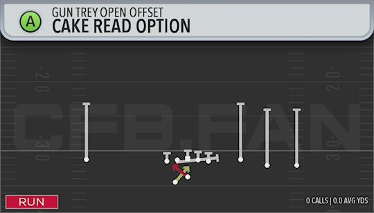 CAKE READ OPTION
