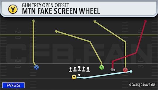 MTN FAKE SCREEN WHEEL