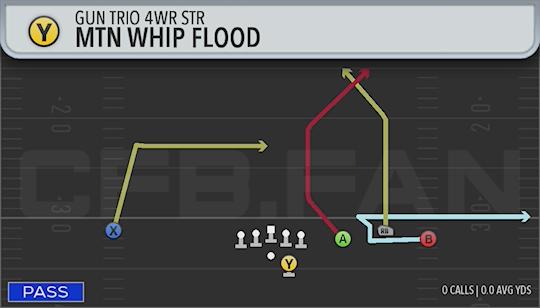 MTN WHIP FLOOD