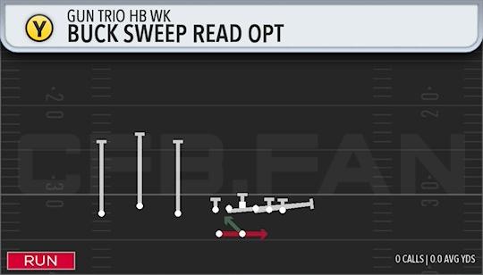 BUCK SWEEP READ OPT