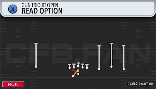 READ OPTION