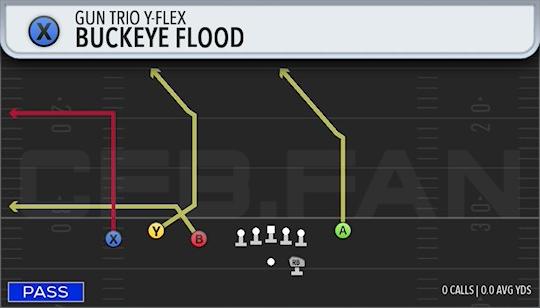 BUCKEYE FLOOD
