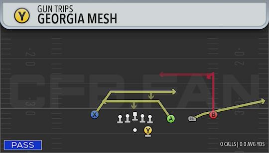 GEORGIA MESH