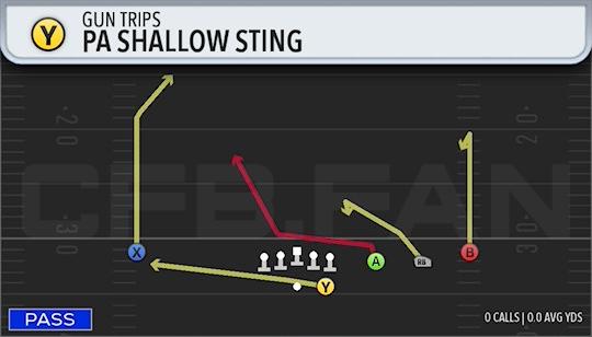 PA SHALLOW STING