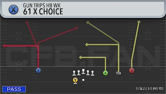 61X CHOICE