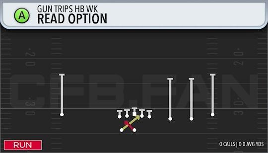 READ OPTION