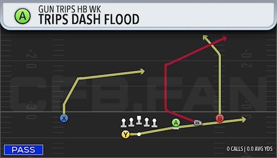TRIPS DASH FLOOD