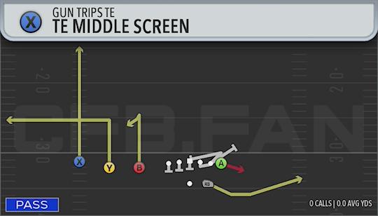 TE MIDDLE SCREEN