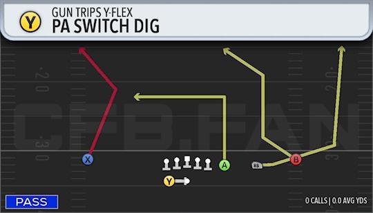PA SWITCH DIG