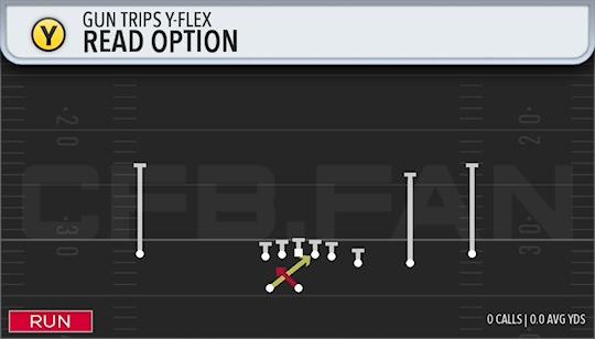 READ OPTION