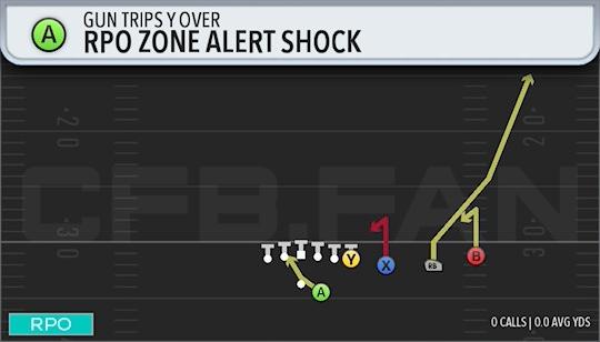 RPO ZONE ALERT SHOCK