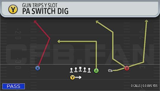 PA SWITCH DIG