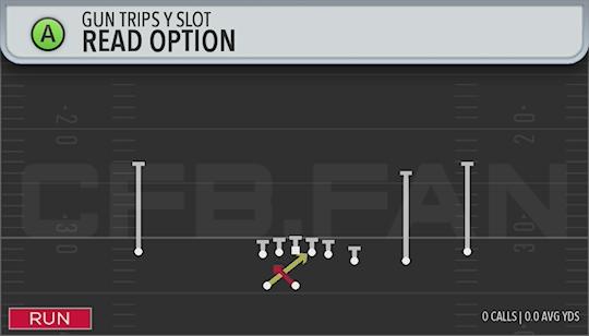 READ OPTION