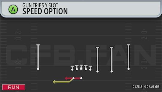 SPEED OPTION