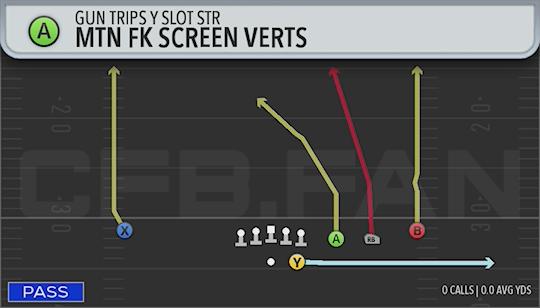 MTN FK SCREEN VERTS