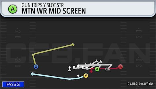 MTN WR MID SCREEN