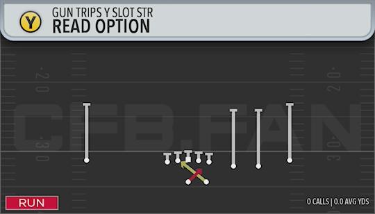 READ OPTION