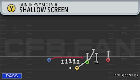 SHALLOW SCREEN