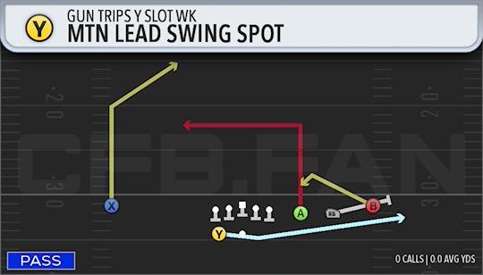 MTN LEAD SWING SPOT