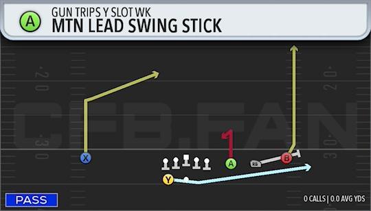 MTN LEAD SWING STICK