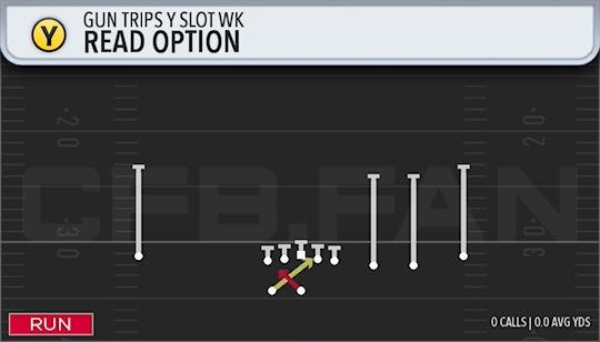 READ OPTION