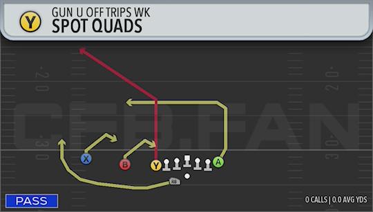SPOT QUADS