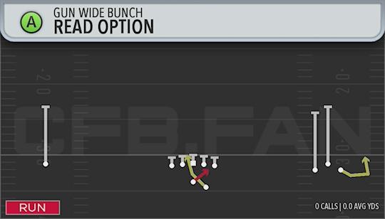 READ OPTION