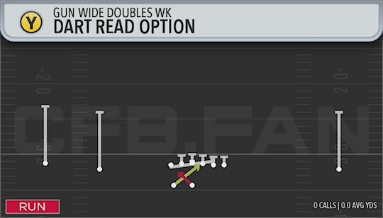 DART READ OPTION