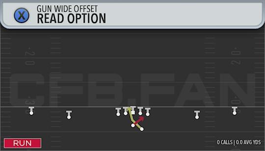 READ OPTION