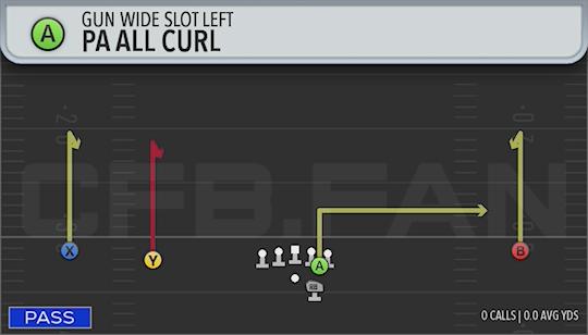 PA ALL CURL