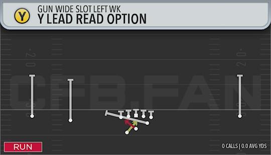 Y LEAD READ OPTION