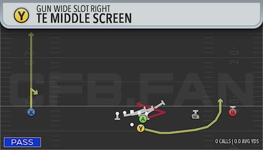 TE MIDDLE SCREEN