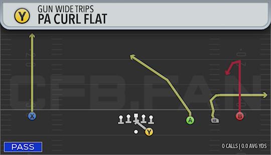PA CURL FLAT