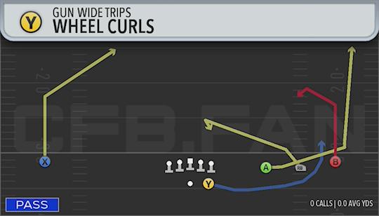 WHEEL CURLS