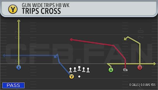 TRIPS CROSS