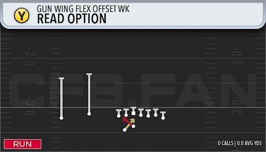 READ OPTION