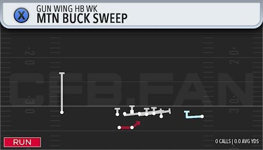 MTN BUCK SWEEP