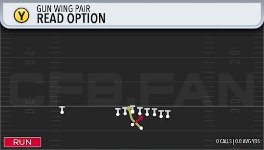 READ OPTION