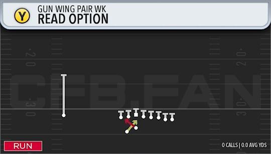 READ OPTION