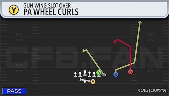 PA WHEEL CURLS
