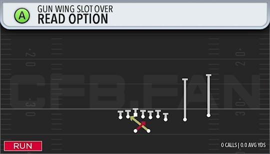 READ OPTION
