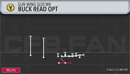 BUCK READ OPT