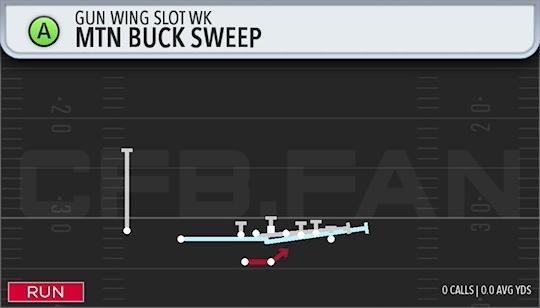 MTN BUCK SWEEP