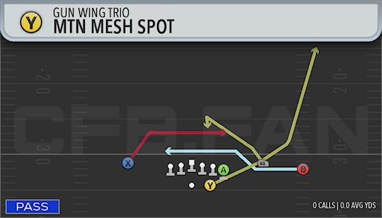 MTN MESH SPOT