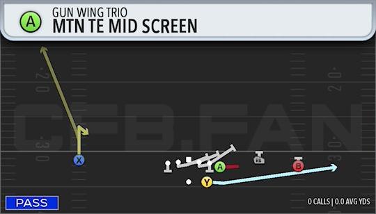 MTN TE MID SCREEN