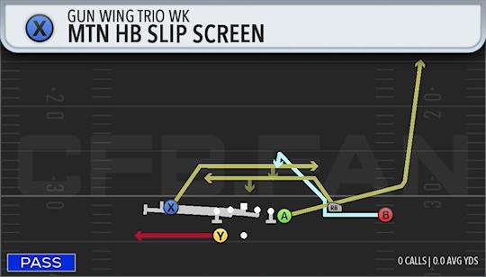 MTN HB SLIP SCREEN