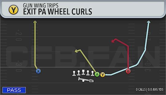 EXIT PA WHEEL CURLS